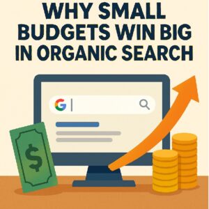 Why Small Budgets Win With Affordable SEO Packages 2 affordable SEO packages